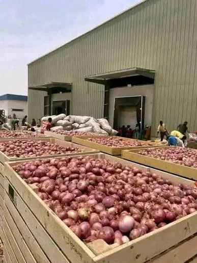 Dehydrated Onion product view 3