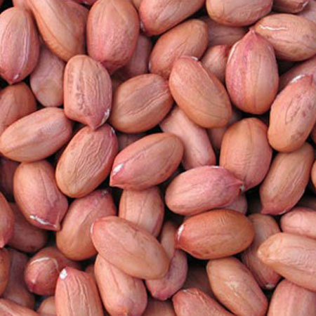 Peanut Kernels product view 2