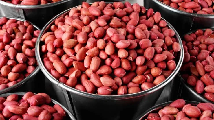 Raw Peanut product view 3
