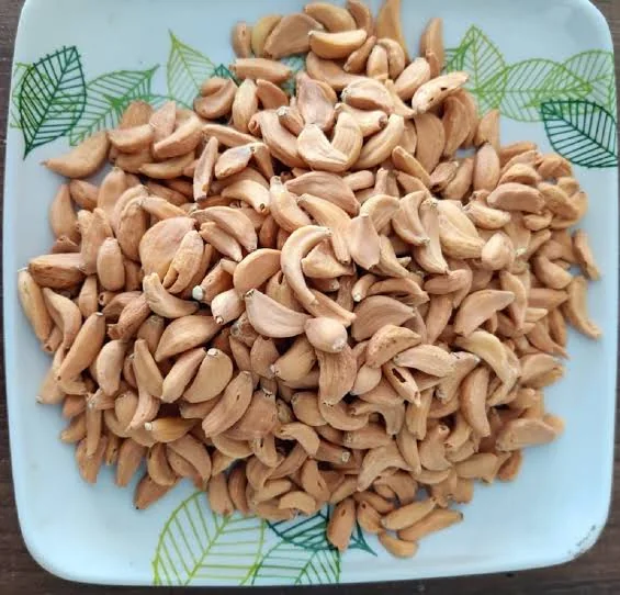 Dehydrated Garlic product view 3