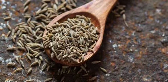 Cumin Seeds product view 1