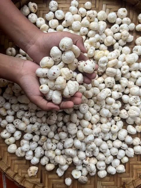 Makhana (Fox Nuts) product view 3